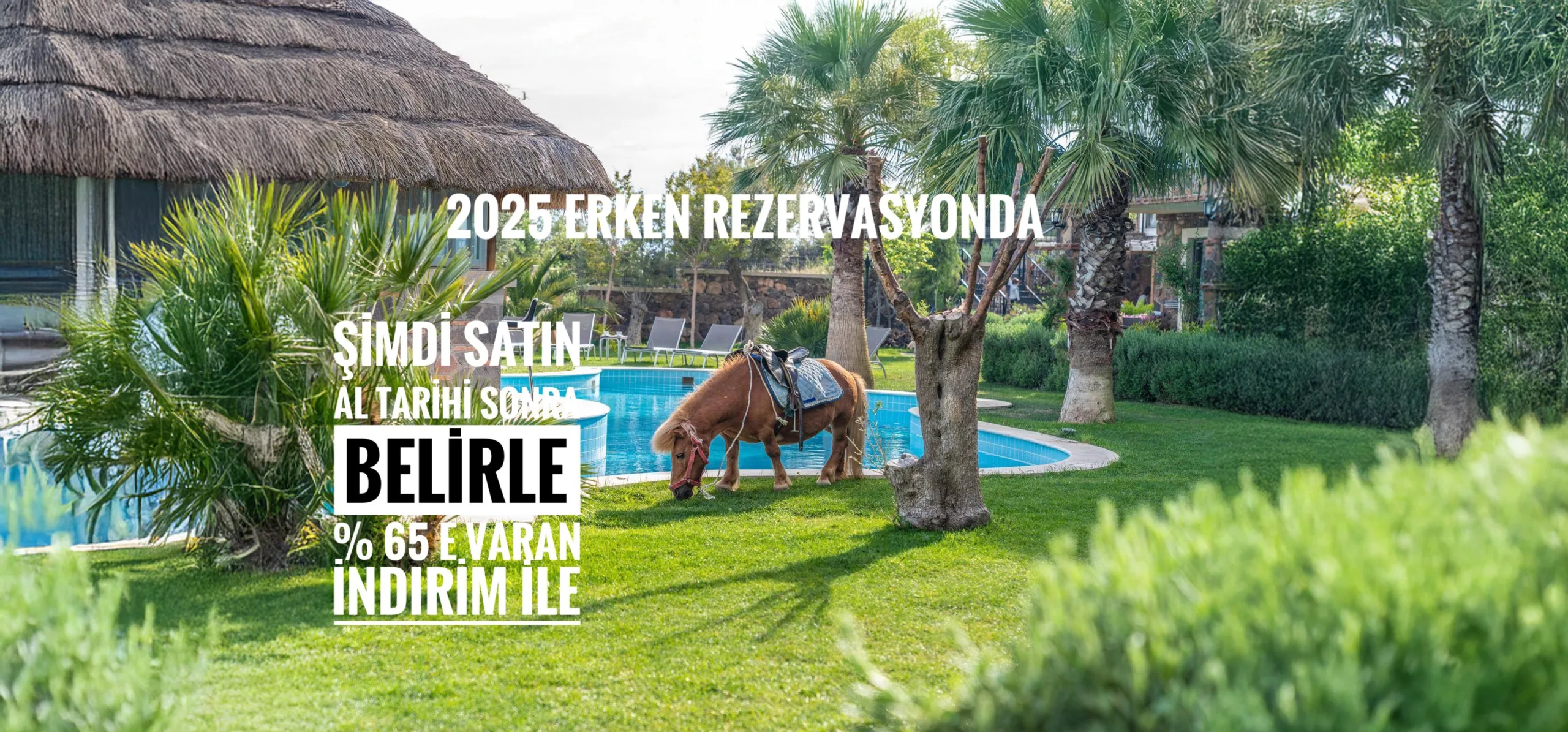 web-1-image_123650291