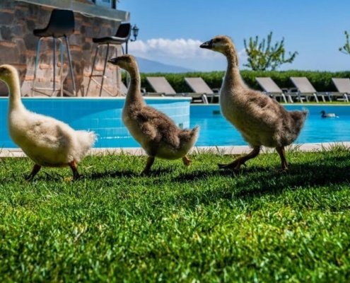 1i1-Copy-Copy-1-1030x579