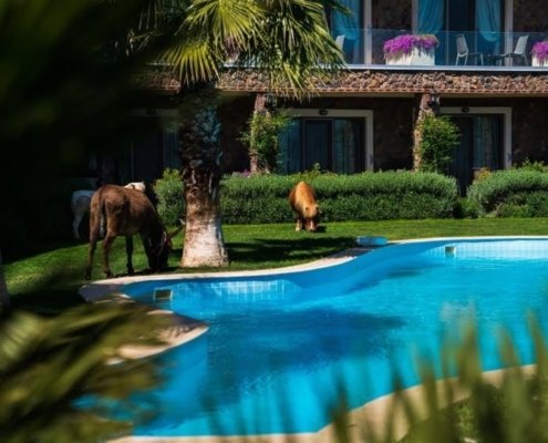 6a1-Copy-Copy-1-1030x579